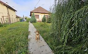 Casuta cu View